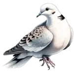 quick curriculum viate of Dimitri(Jim) who works as Operations Manager